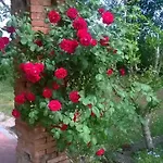 Casa Con Giardino - Minimo 3 Notti