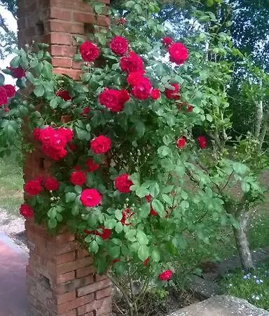 Casa Con Ampio Giardino - Minimo 3 Notti